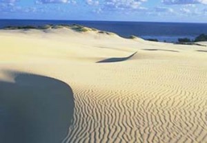 dunes